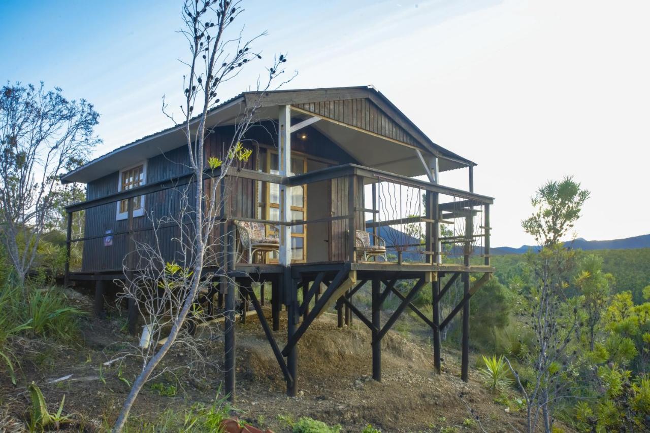 Rainforest Ridge Eco Resort The Crags ภายนอก รูปภาพ
