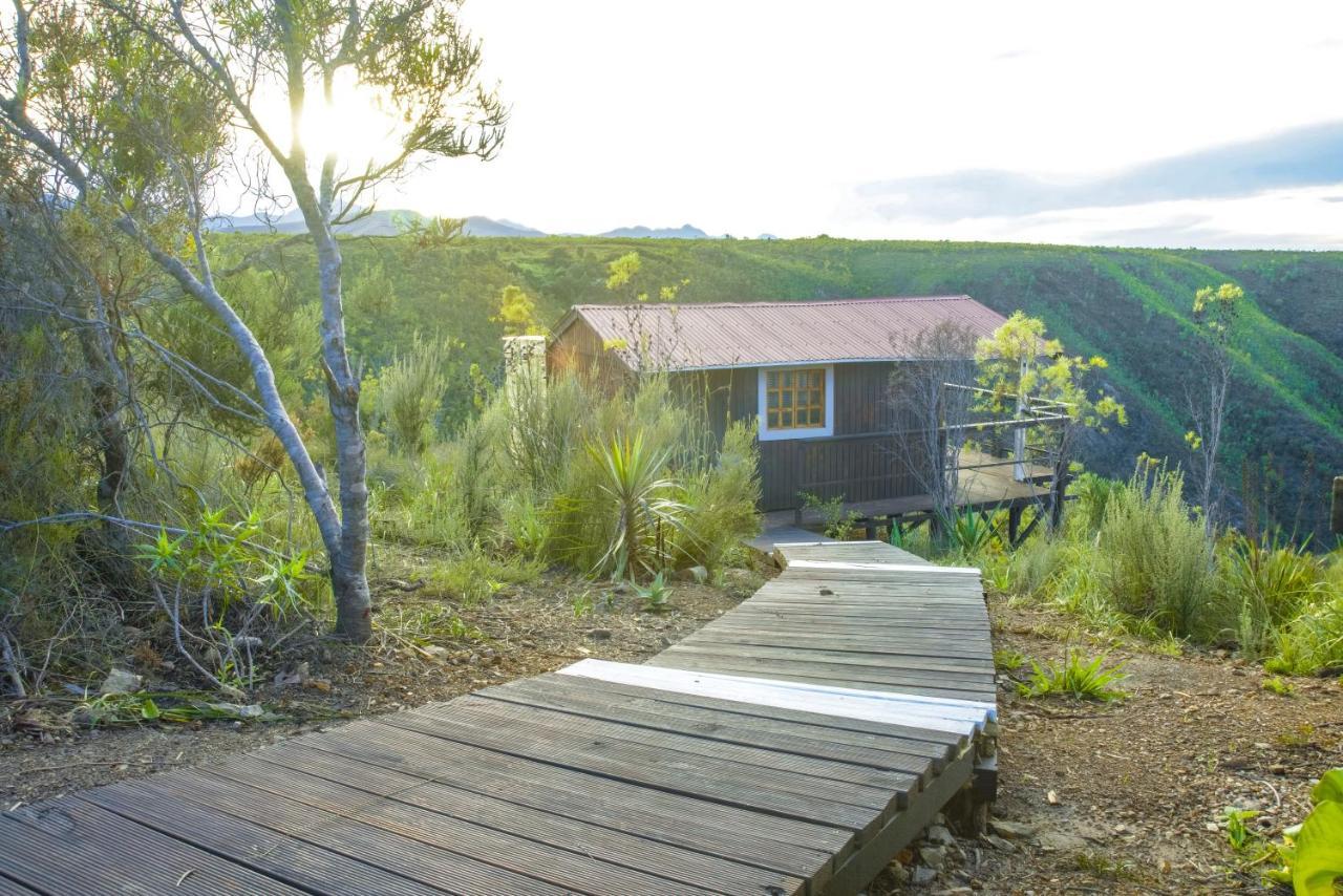 Rainforest Ridge Eco Resort The Crags ภายนอก รูปภาพ
